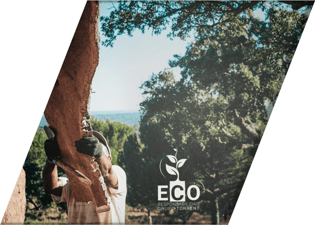 Home 2 | Grupo Torrent España Cabecera Ecoresponsabilidad 1 1 | Grupo Torrent España